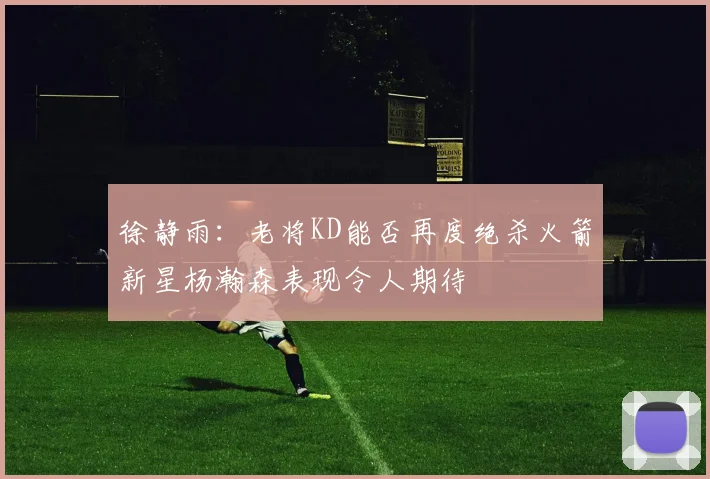 徐静雨：老将KD能否再度绝杀火箭新星杨瀚森表现令人期待