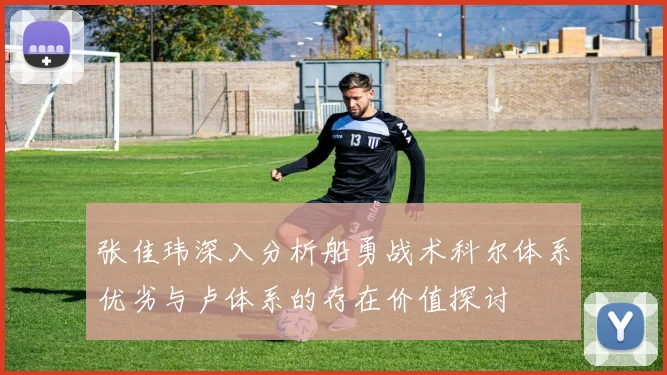 张佳玮深入分析船勇战术科尔体系优劣与卢体系的存在价值探讨