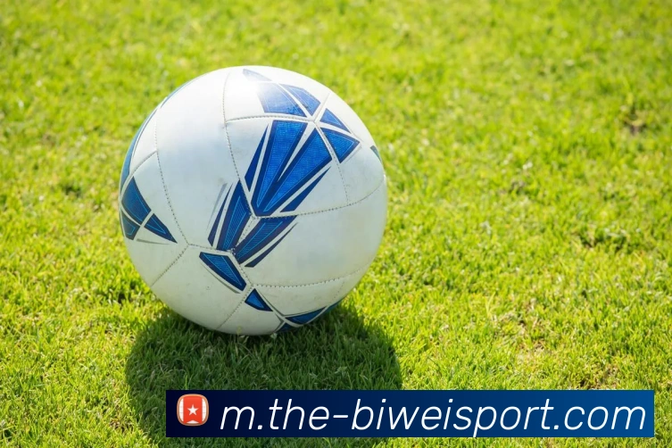 必威体育平台生态图